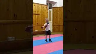 Маленькие тигрята делают первые шаги 💪🏻🔥#ушу #wushu #wushualania #taolu #детскийспорт