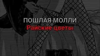 ПОШЛАЯ МОЛЛИ - Райские цветы (текст песни, без обработки)