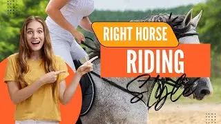 Choosing the Right Horse Riding Style Horse Breeding 