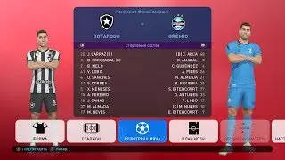 Match Copa Libertadores da América