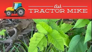 You Can Get Poison Ivy From Your Tractor