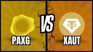 Pax Gold vs Tether Gold: Which Tokenized Gold Should YOU Buy in 2026?