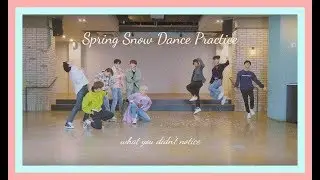 What You Probably Already Noticed in the Spring Snow Dance Practice but You Should Watch it Anyways