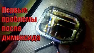 Первые проблемы после димексида ч.1