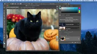Photoshop CC 2020 - Layers Basics
