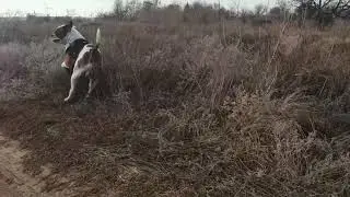 Серёгу выгнали из дома #shorts