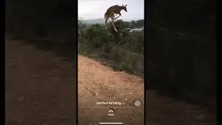 Deer Perfect high jump 🔥
