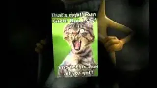 Funniest photos