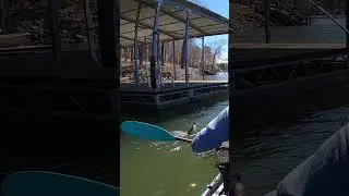 CRAZY Aggressive Bass!! 
