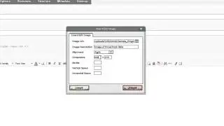 Using Expression Engine - Create-Edit Entry and Add an Image
