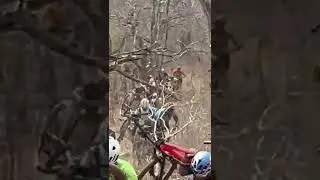 Trecho da maratona cabra da peste