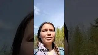 Родовое поместье "ЛадаВлад" в 2023 году