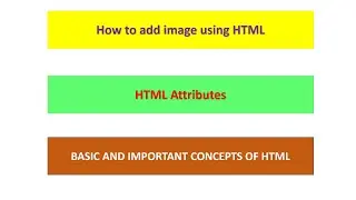 img tag and its attributes in HTML | html attributes | Pro Developing Champs