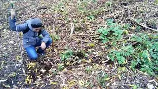 Сталкер 2