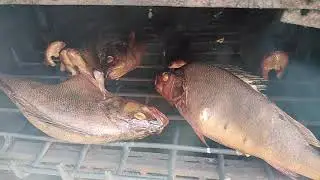 Копчёный окунь