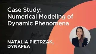 Case Study: Numerical Modelling of Dynamic Phenomena in Geotechnical Engineering