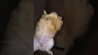 Когда на улице весь день дожди 