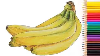 How to Draw a Banana Easy Step by Step || realistic banana drawing || Weekend Art
