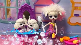 🐩 как Пэрис Пудель моет своих щенят 🐩 Мультик Enchantimals City Tails