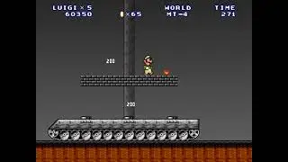 Mario Forever World MT Completed Video