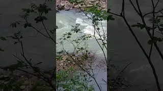 River / stream running sound effect
