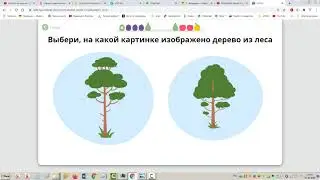 4 класс Лесные растения Леса России География Природа Окружающий мир Ридель Алиса