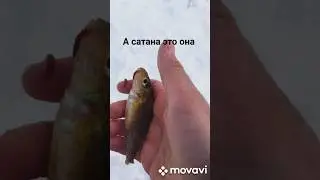 вас тоже достает 