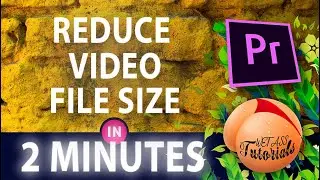 How To Reduce Video File Size In Premiere Pro