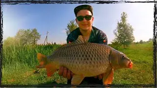 A fishing fairy tale: catching carp and grilling shashlik. The secret ingredient makes the carp g...