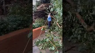 Không và tất cả. Hành trình một người xưng con theo con đường tu tập của Phật. Thích Minh Tuệ