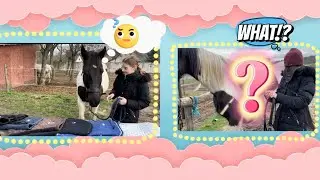 Ali választotta ki a szettjét+Csukott szemmel szereltem fel a lovam!😲