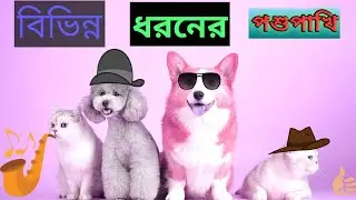 fany animals video fany cat and dog video