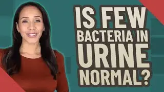 Is few bacteria in urine normal?