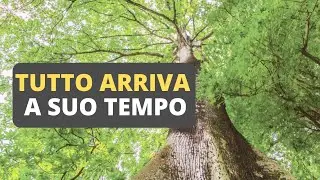 Storie di un Maestro Zen: Tutto Arriva A Suo Tempo