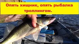Снова озеро, опять за хищником. Рыбалка троллингом. Atkal ezers, atkal makšķerējam velcējot.