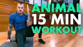 15 MINUTE BEGINNER ANIMAL/ MOVEMENT FLOW WORKOUT
