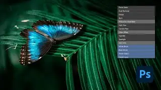 How to Use ACTIONS in Photoshop to 10x Your Speed