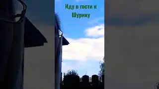 В ГОСТИ/