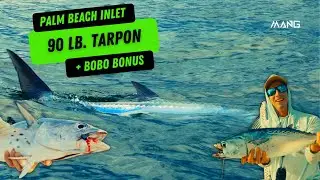 Fishing for Tarpon in Palm Beach Inlet