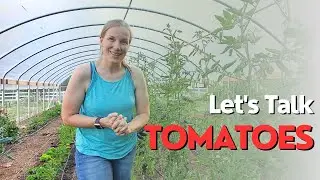 Let's Talk Tomatoes!