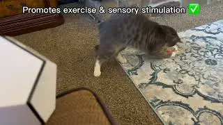 Automatic Cat Light Toy -Rotating Moving Electronic Red Dot LED Pointer Pen W/ Auto Wireless Control