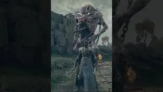 If you manage to angry a Troll enough this happens.. - Elden Ring !!