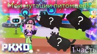 PK XD – Создаю мутации 3 различных питомцев! (1 часть) 🐾🐱