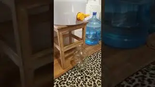 Фасовка мёда