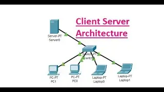 Client Server Architecture in Cisco Packet Tracer || Networking|| 