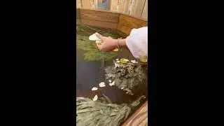 Кудыкина гора, г. Нижневартовск