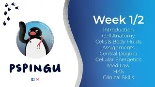 Sem 1 Week 1/2 Content