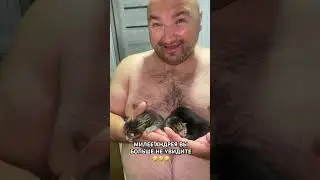Котики и Андрей😍