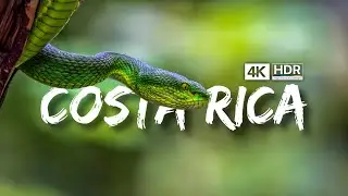 COSTA RICA 🇨🇷 HDR 4K 60fps (DOLBY VISION™) | Costa Rica 4K