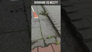 Zdraper Cię wyręczy